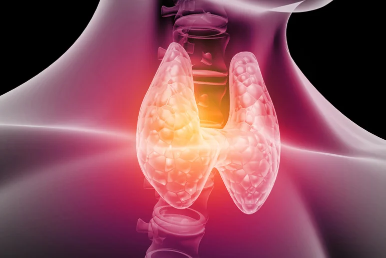 thyroeides